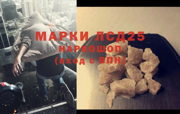 PSILOCYBIN Покров